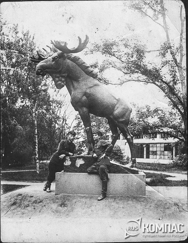 �������� "����"