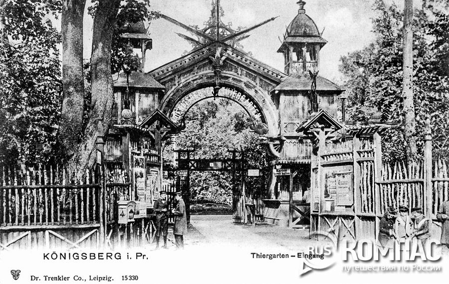 ���� ���������