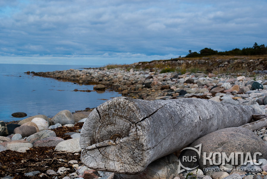 ����� �. �����