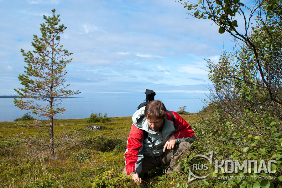 ����� �. �����