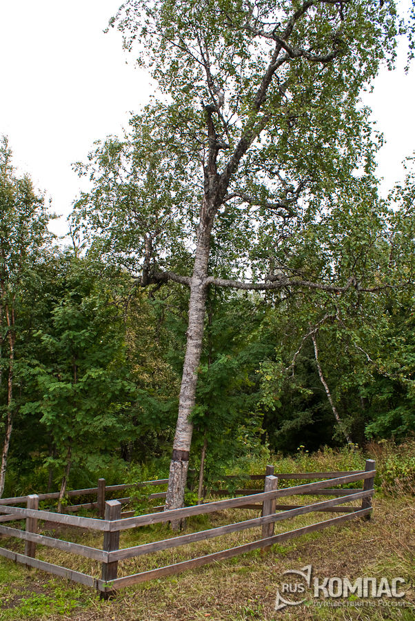 ������ � �������-���������� �����