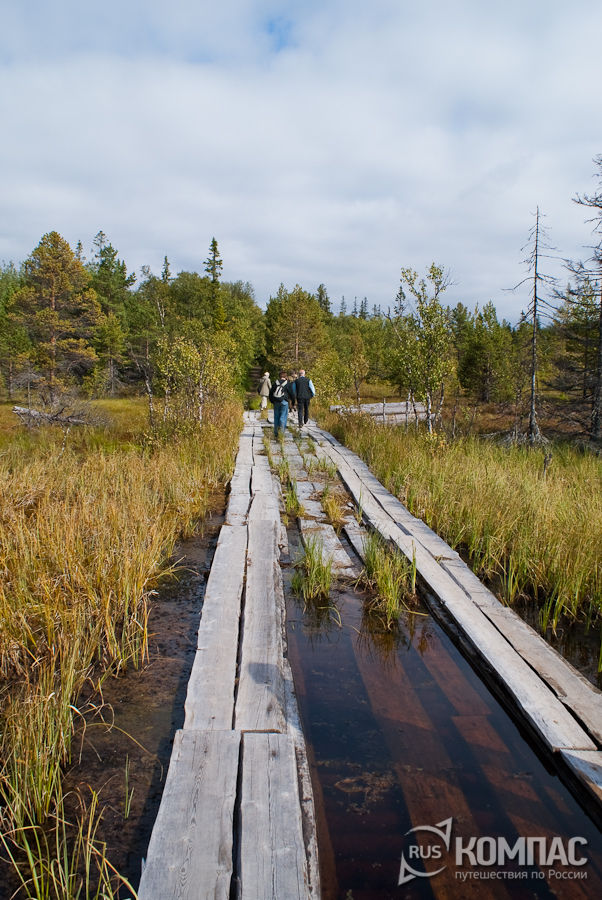 ������ � ������� ��������� ������