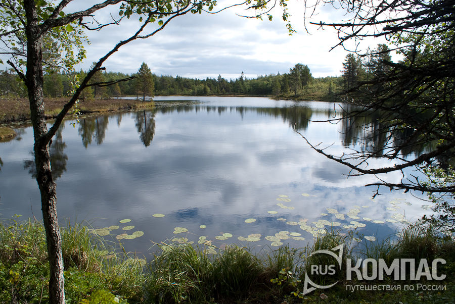 ������ �����