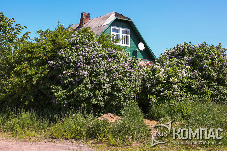 ��� � ������