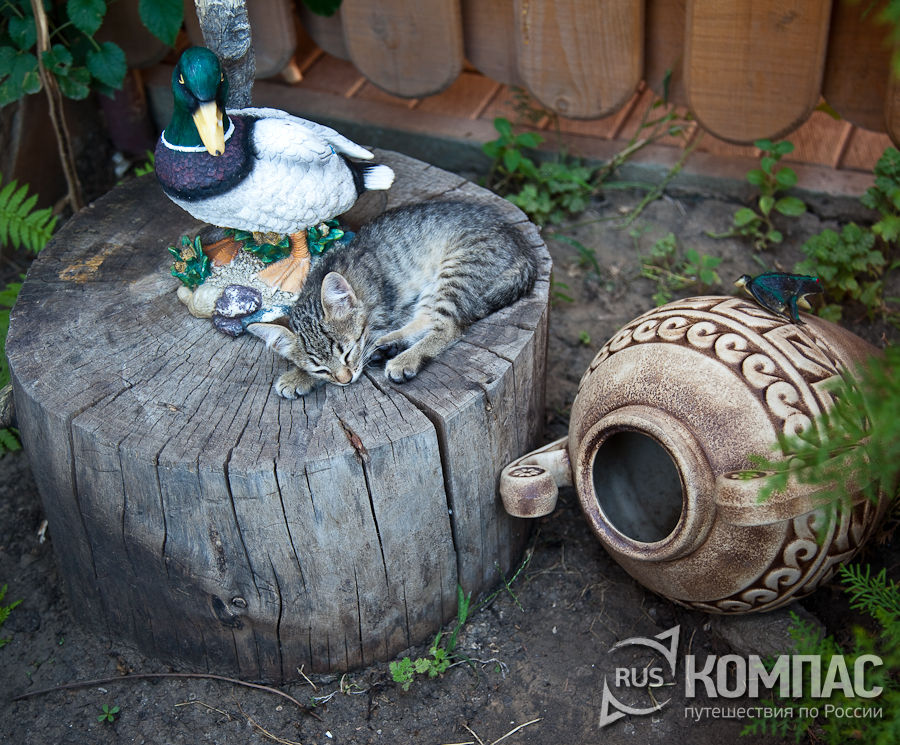 �� �������