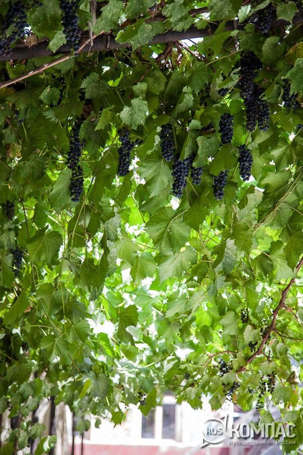 ������������ ������