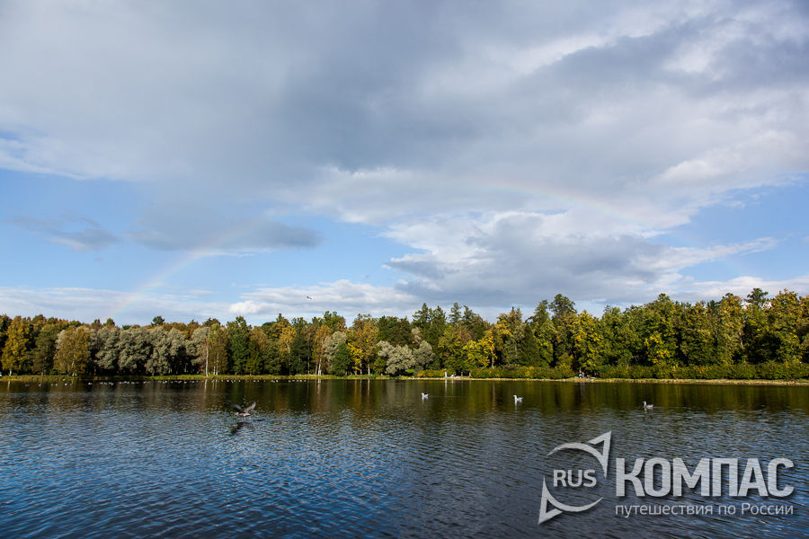 ������ ��� ����� ������