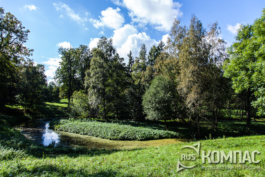 ������������ ����