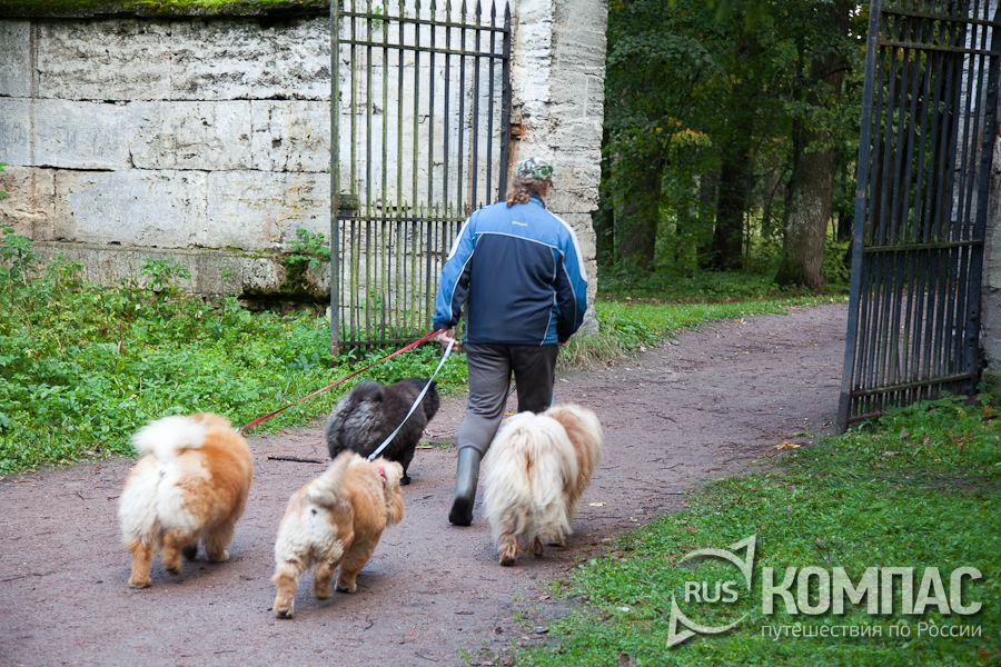 �������� � �����