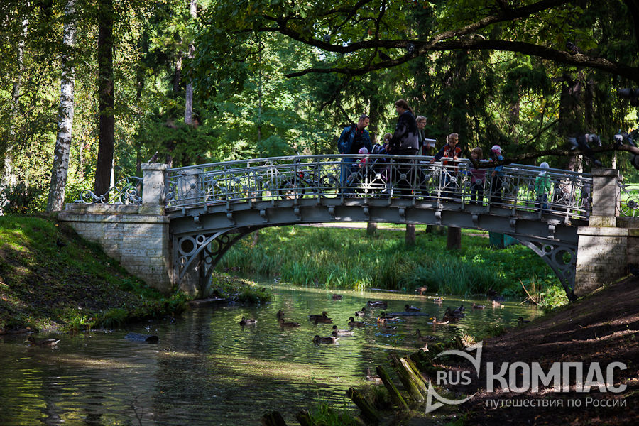 ���� � ����� ����