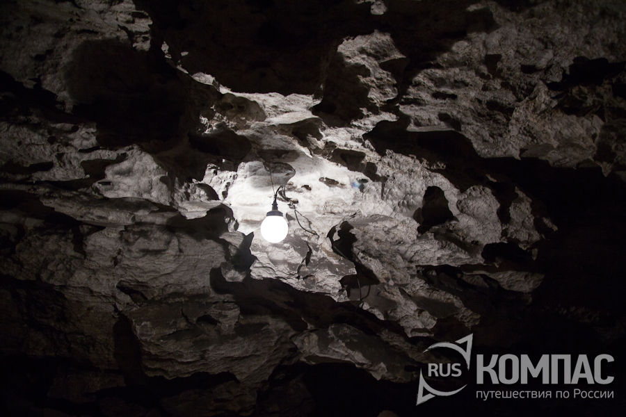 ���� ���������