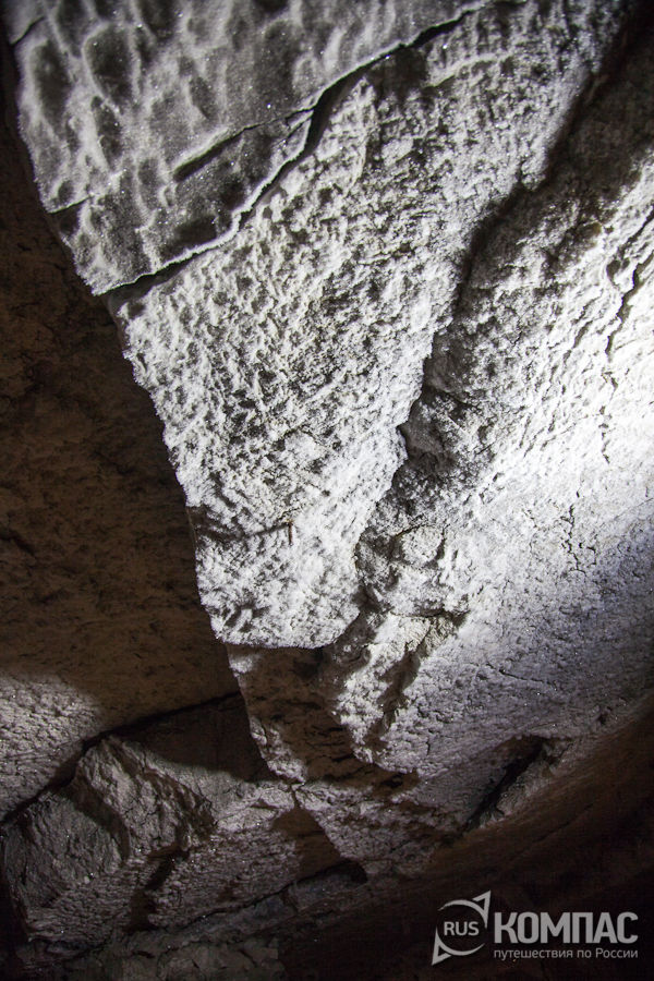 ���� ���������