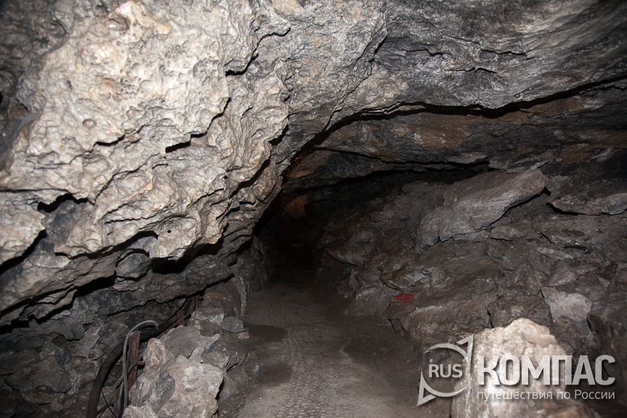 ���� ���������