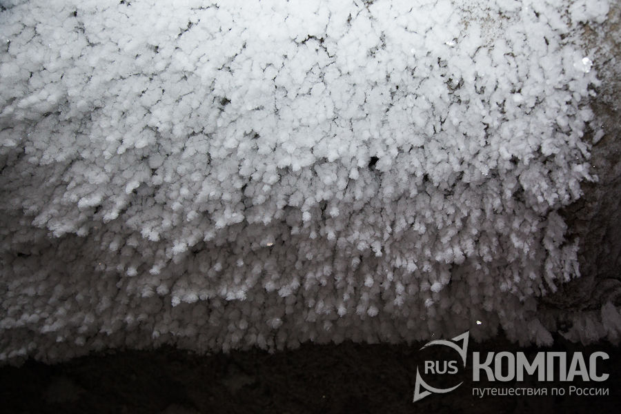 ���� ������������� 