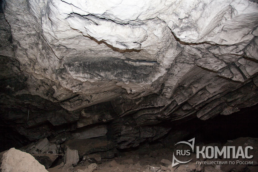 ���� ���������