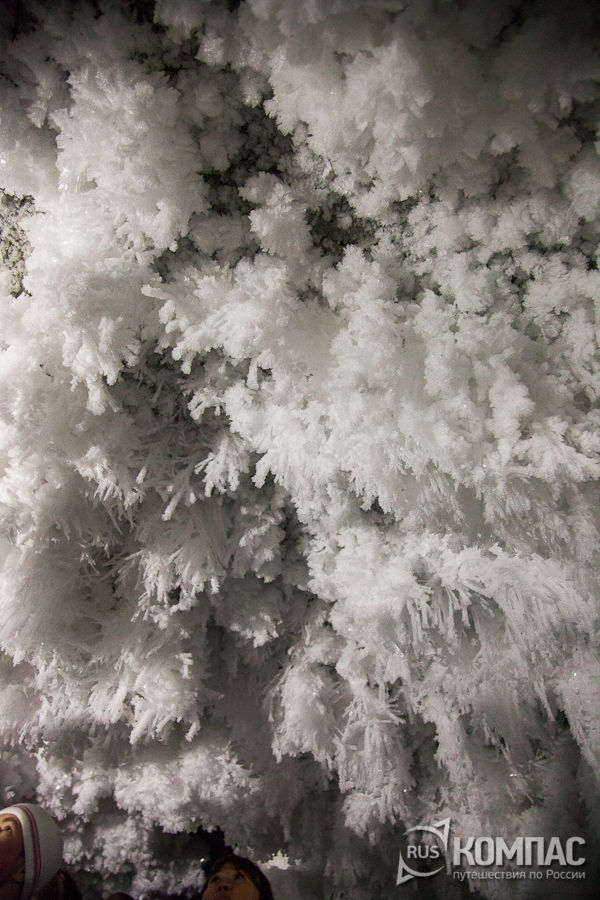 ������������� ����