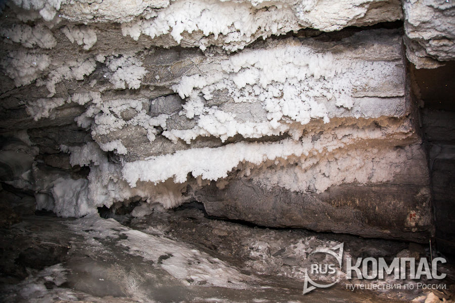 ������������� ����