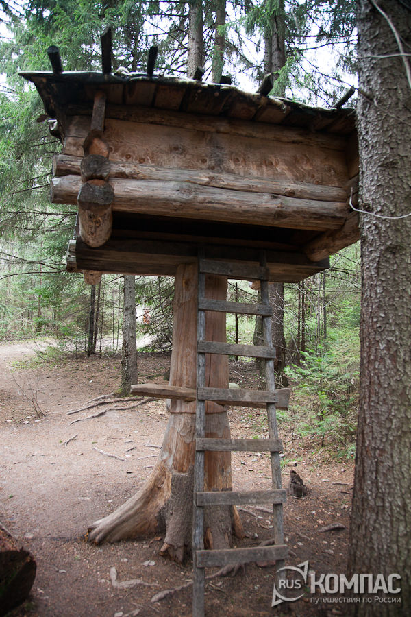 �����-�����. ����� (����) � ��������