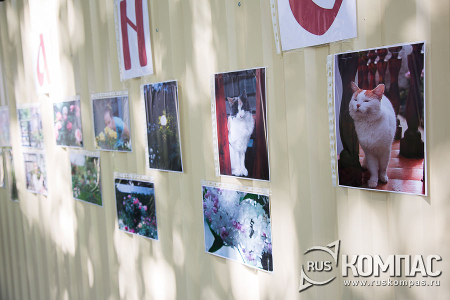 ����������� � ������������ ������� ���������