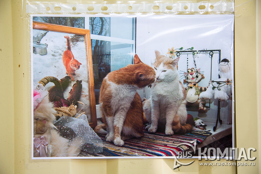 ����������� � ������������ ������� ���������