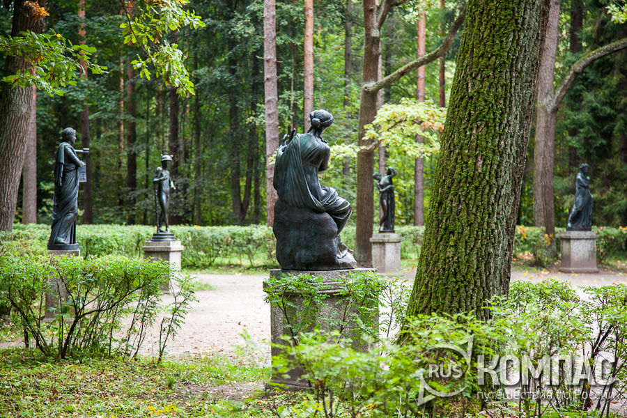 �������� � ������ ������ �������, ���� �������� 12 �������.