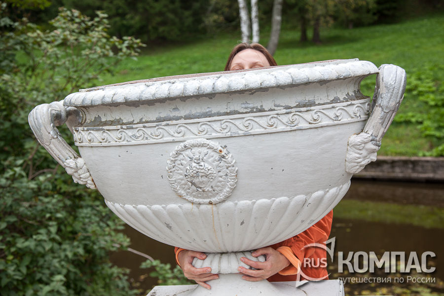 ������ ����