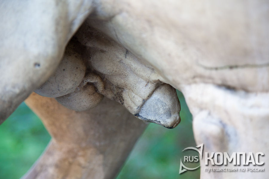 ��������� ��������, ����������