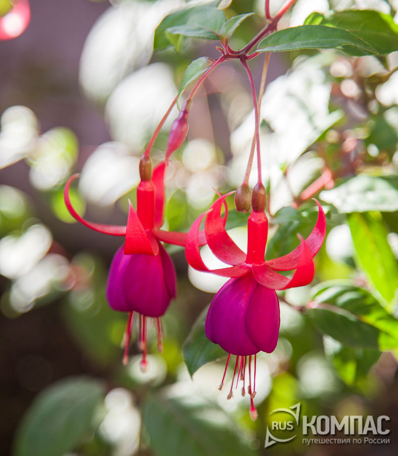 �������� ������ � ����������� ���� � ���������