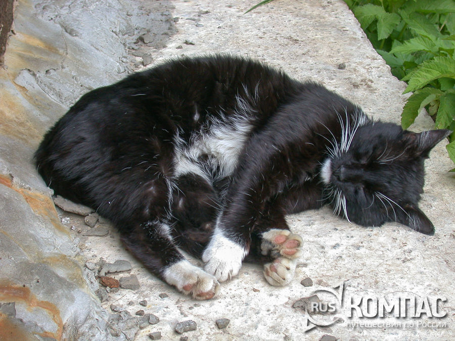 �����, ������� �� ����� ����� ������ � ���������