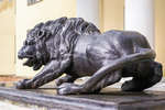 Львы, на входе в Министерство Культуры Карелии