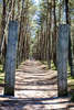 Ворота в "Танцующий лес"