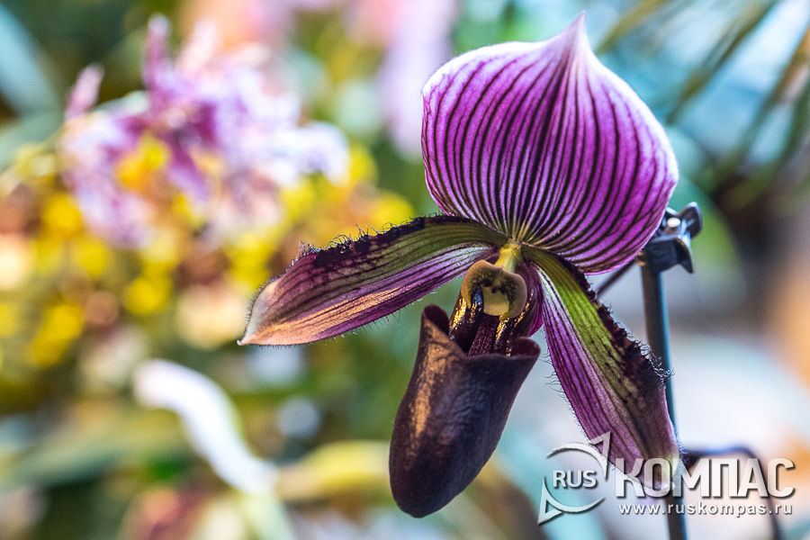 ������������ ����������������