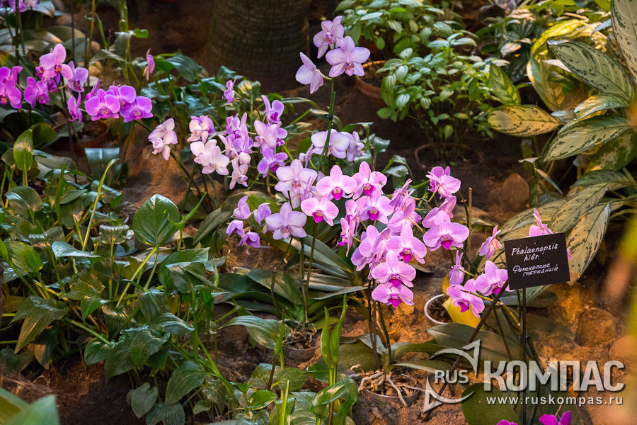 �������� �� ������������