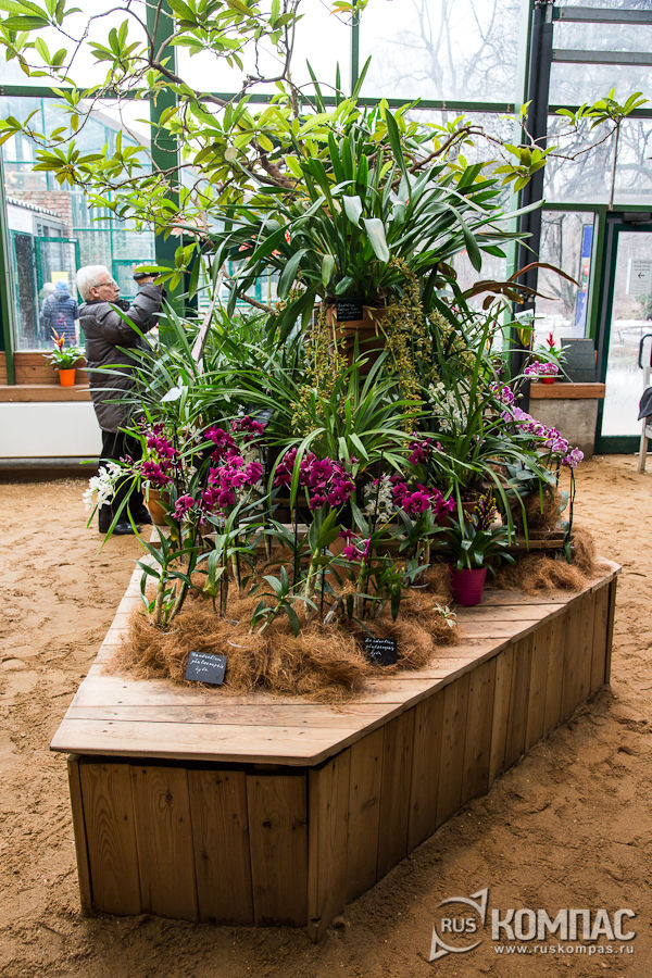 ��������� ���������� � ���������