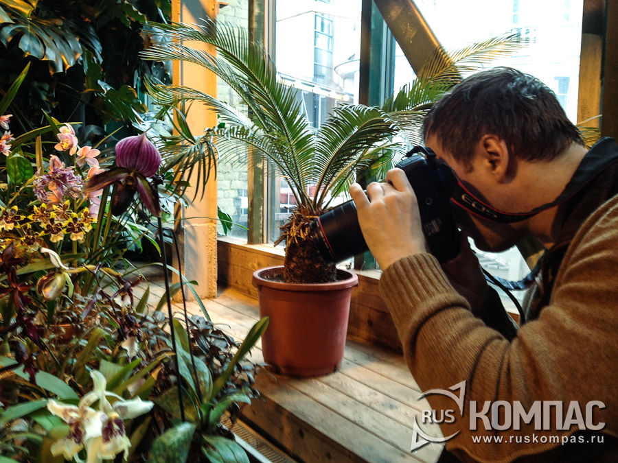 ���������� ����������