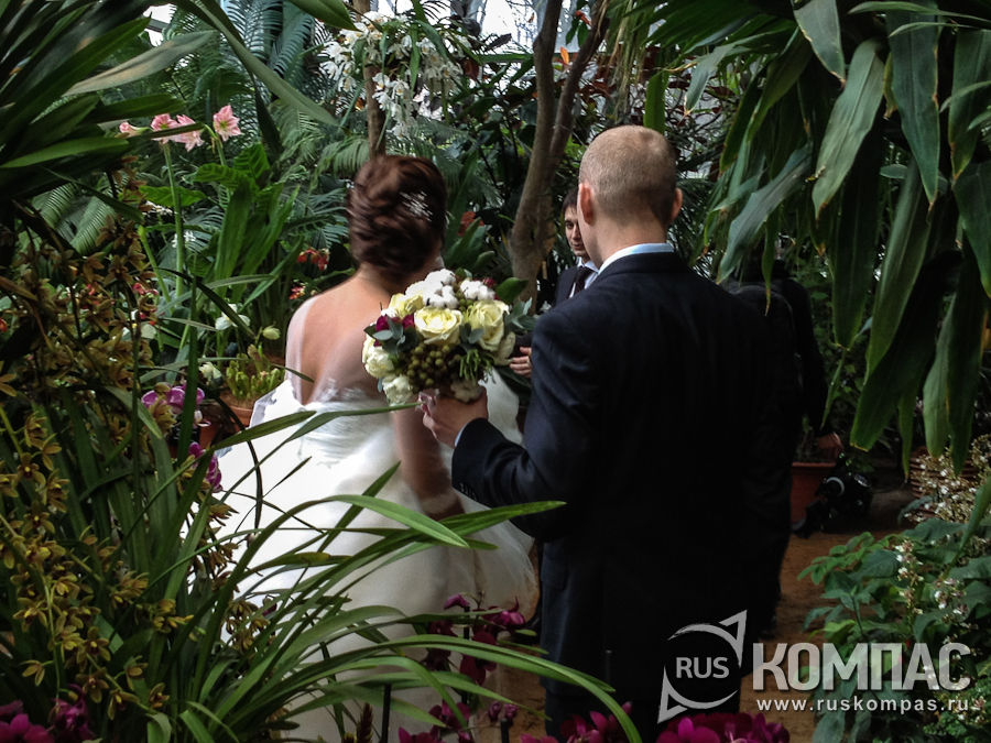 ���������� �������