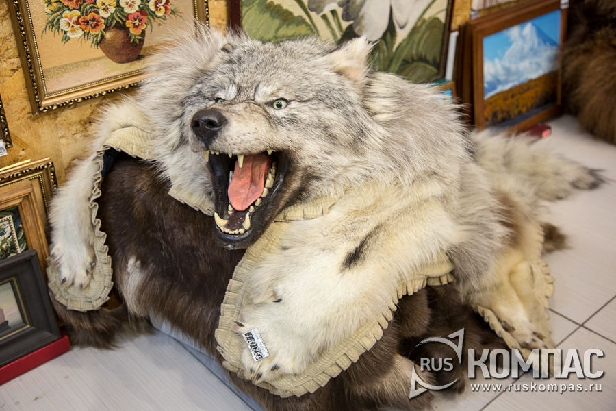 ������ �����