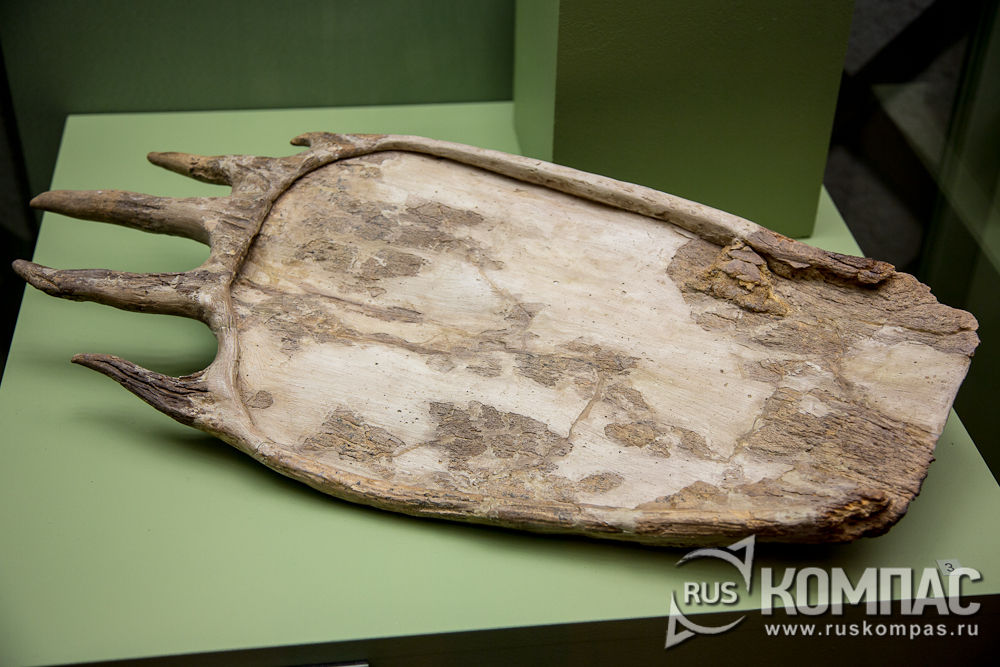 ����� �� ���� ���� V �. �� �.�.