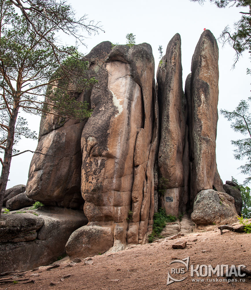 ����� "�����"