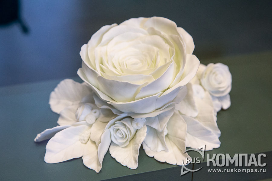 �������� (������ �����, �������), 2009 �.