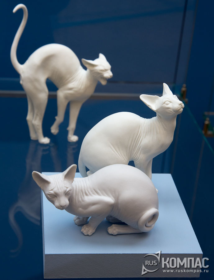 ������� �����, ������ ��������, �������-��������, 2009 �.