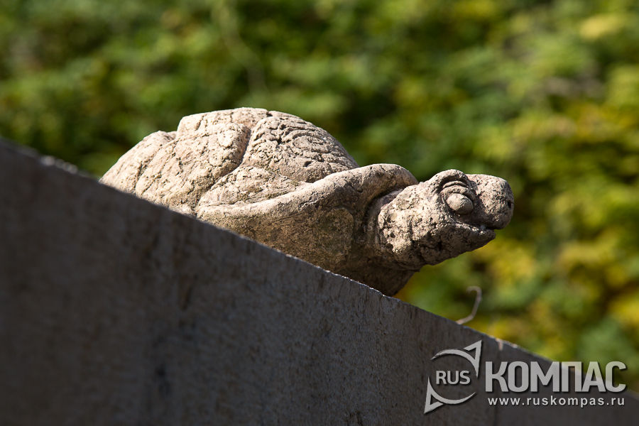 �������� �������� � ������