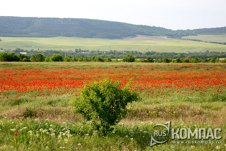 �������� ���� �� ������ �� ����������