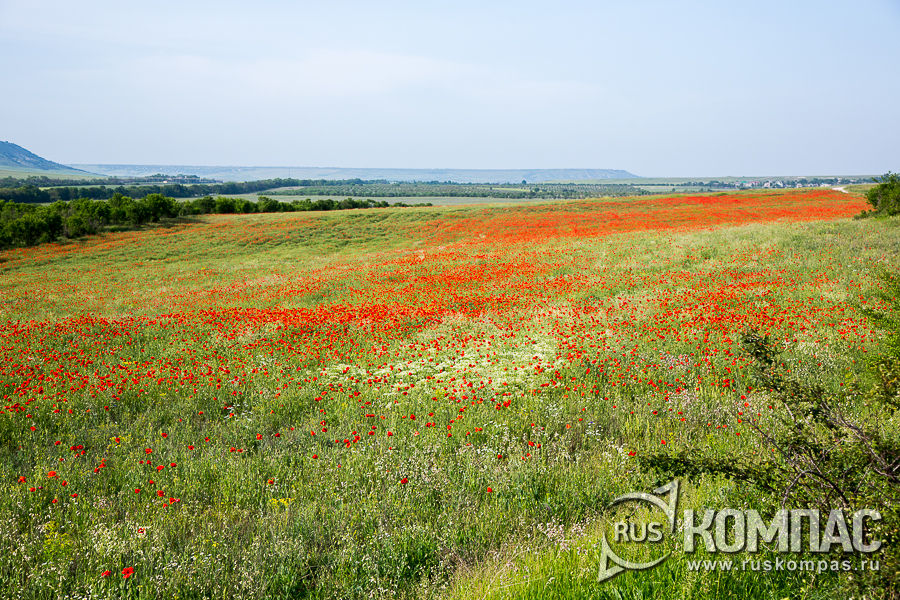 �������� ���� �� ������ �� ����������