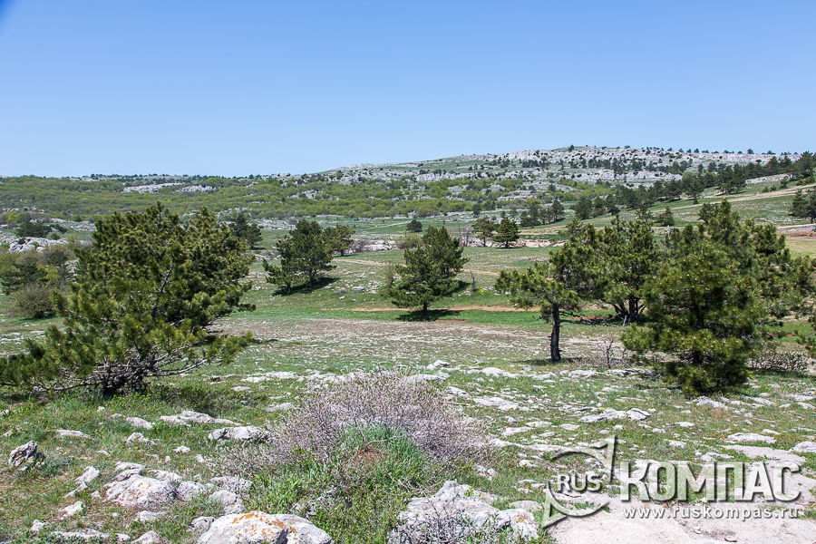 ����� �� ��-���������� �����