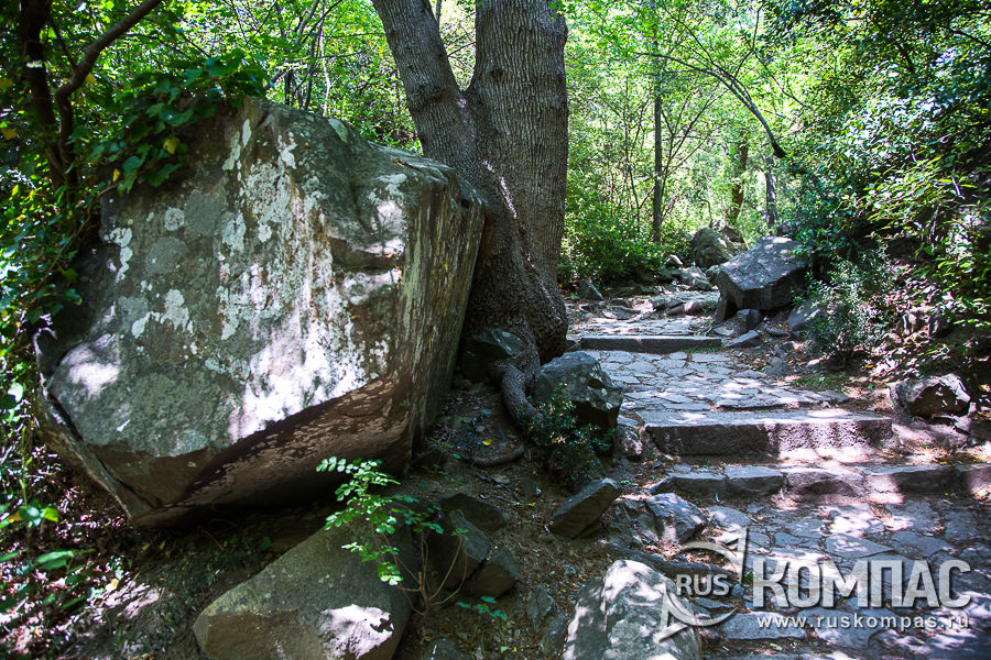 ������ �� ���������� �������� �����