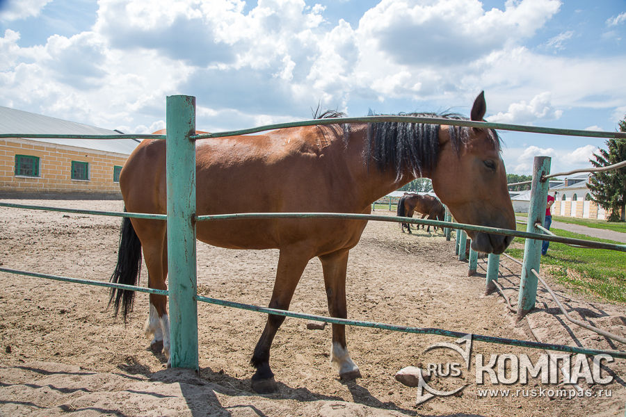 ������� ������ �� ����� ����������