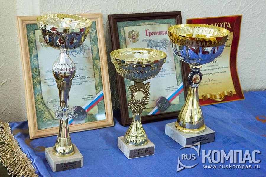 ����� ��������� �������