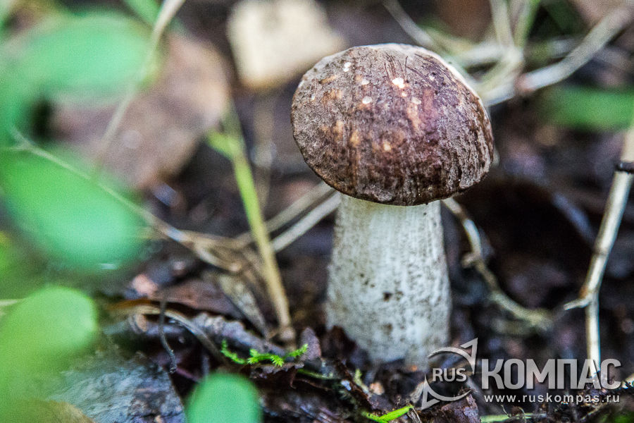 ������������