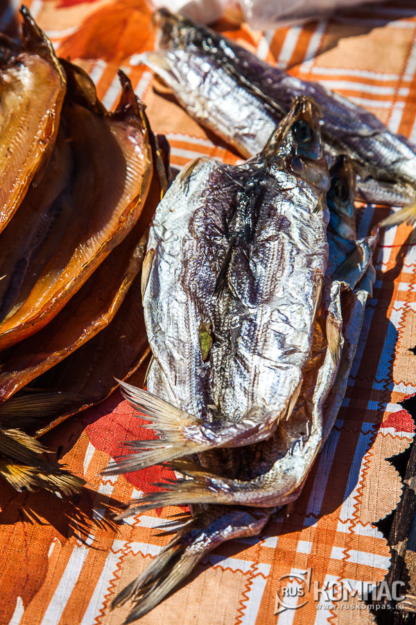 ������� �����